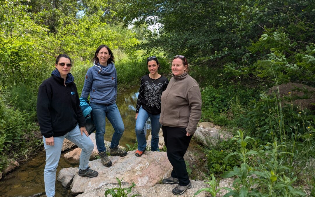 Visite de terrain de Delphine ADER, nouvelle interlocutrice de l’Agence de l’Eau, sur le territoire de notre syndicat.