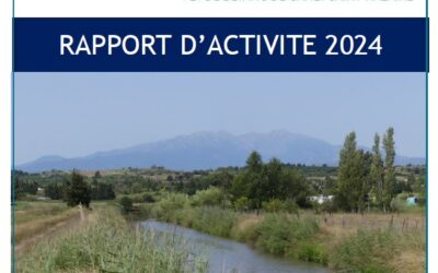 Rapport d’Activité 2024