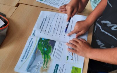 Animations scolaires